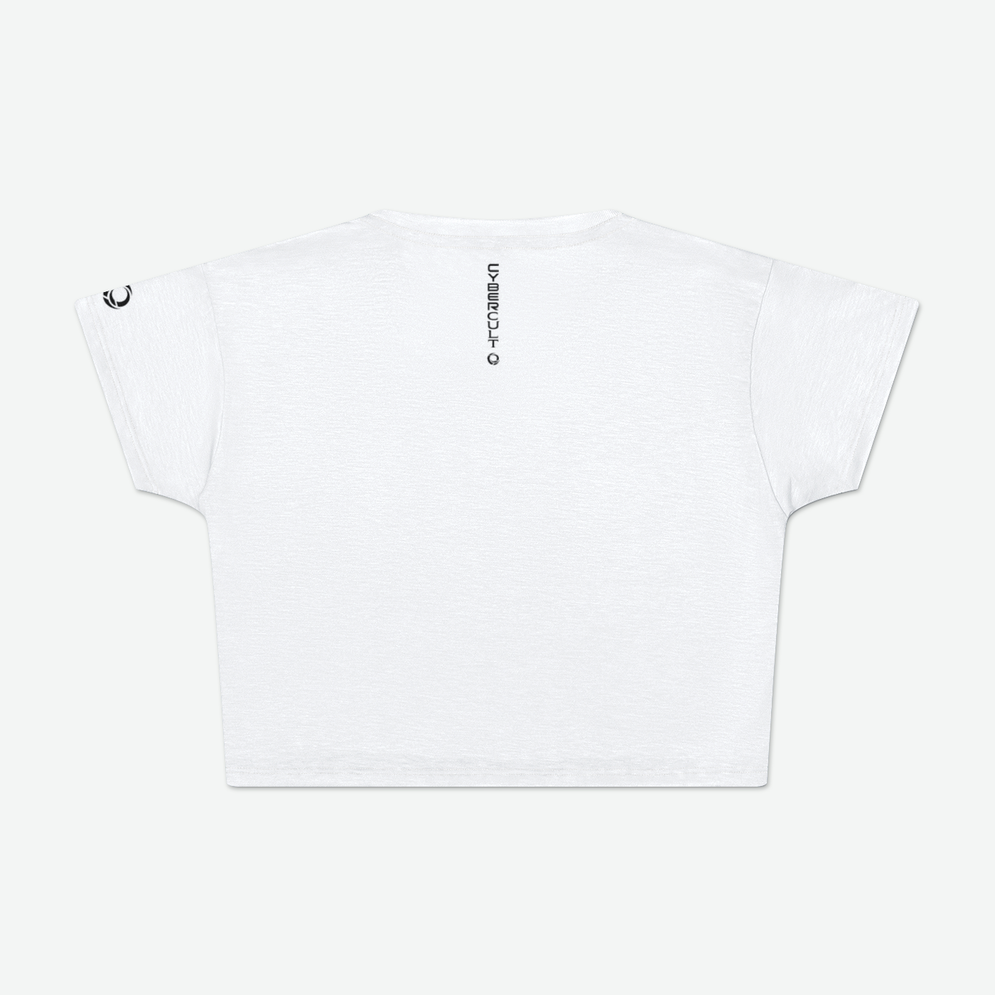 Sacred Text B Womens Crop Tee